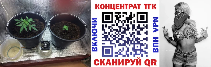купить   Кстово  ТГК Wax 