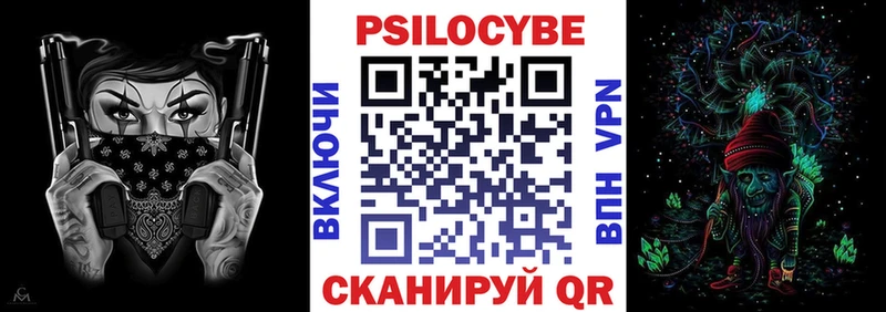 Псилоцибиновые грибы Psilocybe  Кстово 